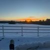 taylorcardin543